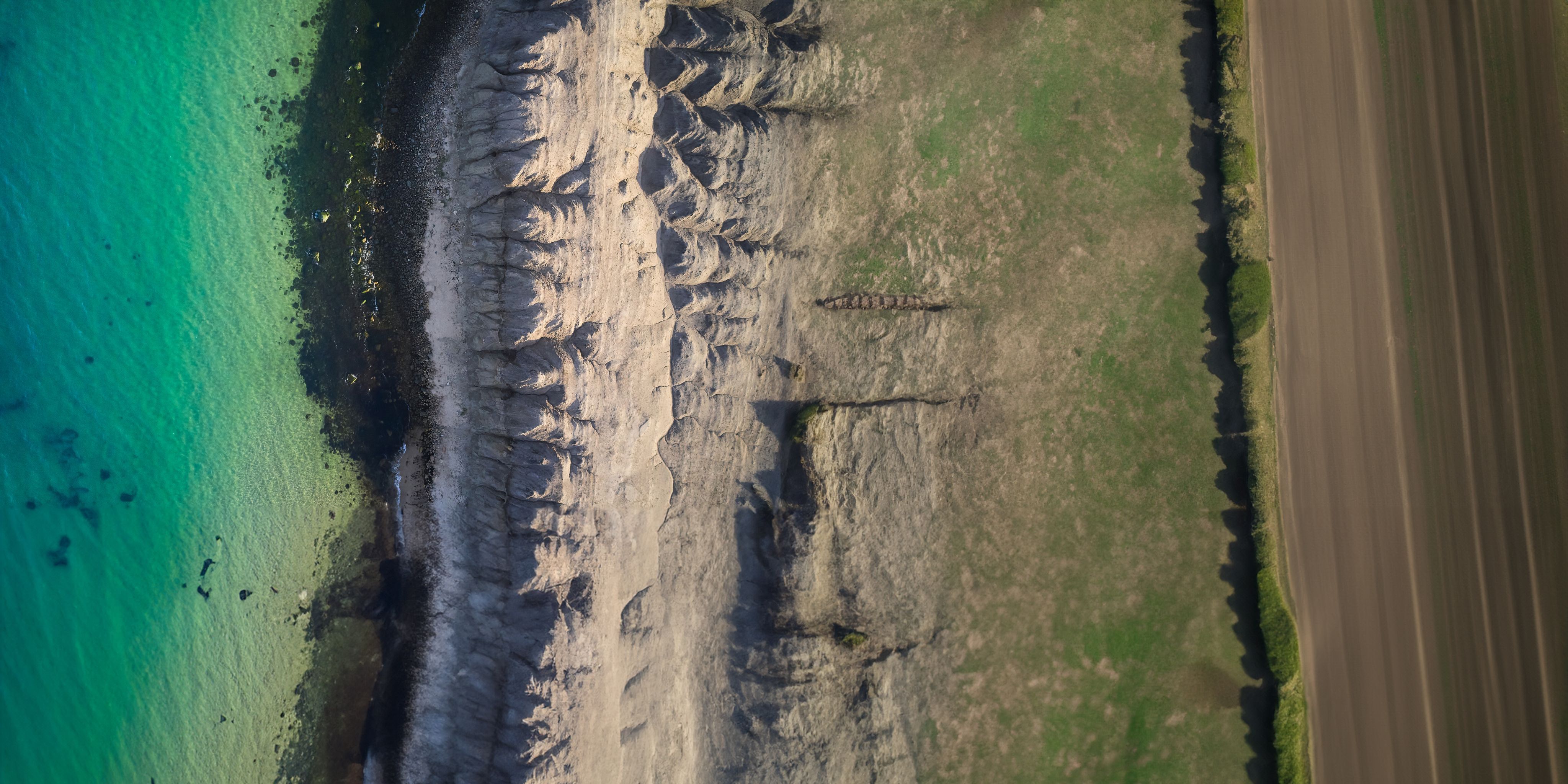 Turquoise sea meeting white chalk cliffs above a strip of grassland and brown plowed fields.